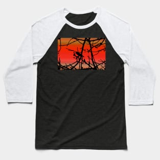 House Finch In Tree Silhouette on Tuscan Sunset Baseball T-Shirt